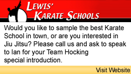Lewis Karate School